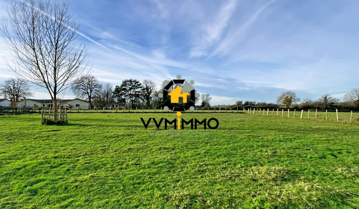 1768323992_VM640_3_original